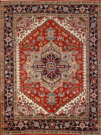 Medallion Wool Heriz Serapi Indian Area Rug 8x10