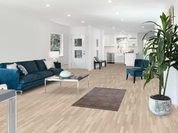 Handmade Wool Gabbeh Indian Rug 3x5