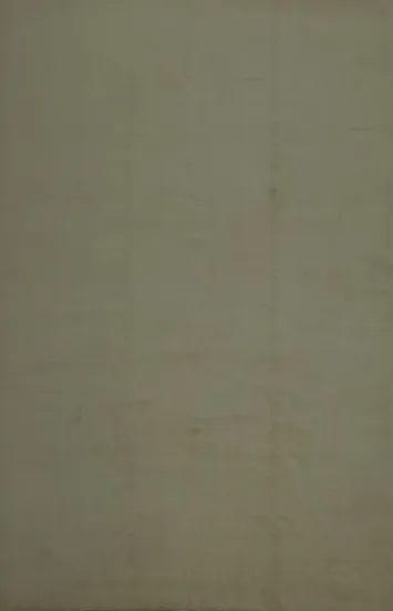 Vegetable Dye Wool Gabbeh Persian Area Rug 10x13