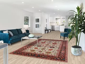 Geometric Oushak Indian Area Rug 6x9