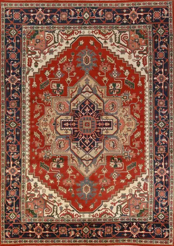 Geometric Heriz Serapi Oriental Area Rug 9x12