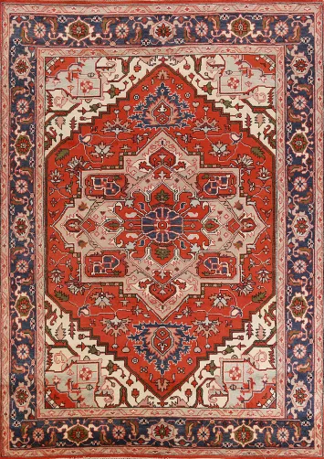 Geometric Heriz Serapi Oriental Area Rug 9x12