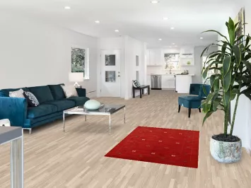 Tribal Gabbeh Indian Rug 3x5