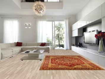 Red Wool Medallion Heriz Serapi Indian Area Rug 9x12