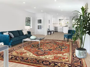 Orange Wool Medallion Heriz Serapi Indian Area Rug 9x12