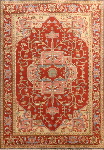 Heriz Serapi Indian Area Rug 9x12
