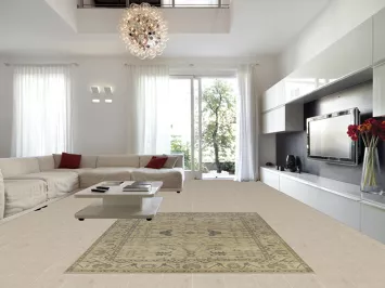 Earth Tone Wool Oushak Indian Area Rug 8x10