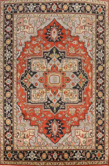 Geometric Heriz Serapi Indian Area Rug 9x12