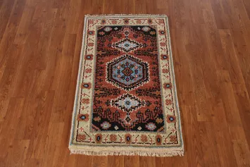 Geometric Viss Indian Accent Rug 2x3