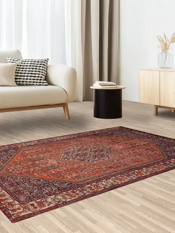 Orange Wool Medallion Bidjar Persian Rug 4x6