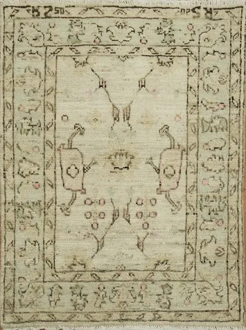 Earth Tone Wool Oushak Vegetable Dye Rug 3x4