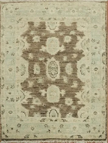 Earth Tone Oushak Vegetable Dye Rug 3x4