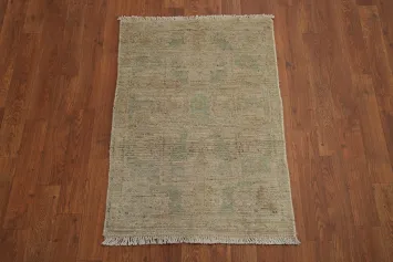 Vegetable Dye Oushak Turkish Accent Rug 2x3