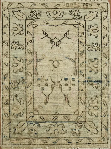 Vegetable Dye Oushak Turkish Accent Rug 2x3