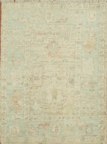 Vegetable Dye Oushak Turkish Accent Rug 2x3