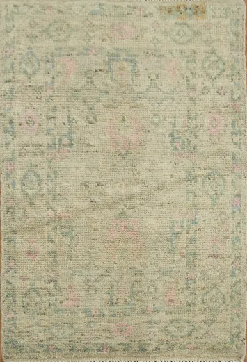 Vegetable Dye Oushak Turkish Accent Rug 2x3