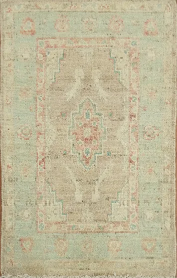 Vegetable Dye Oushak Turkish Accent Rug 2x3