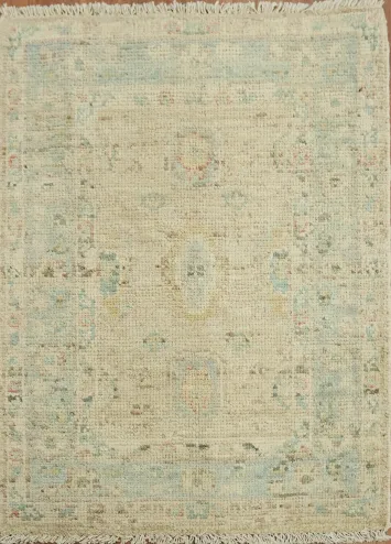 Vegetable Dye Oushak Turkish Accent Rug 2x3