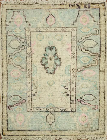 Vegetable Dye Oushak Turkish Accent Rug 2x3