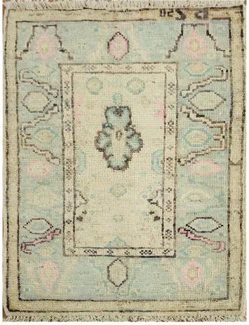 Vegetable Dye Oushak Turkish Accent Rug 2x3