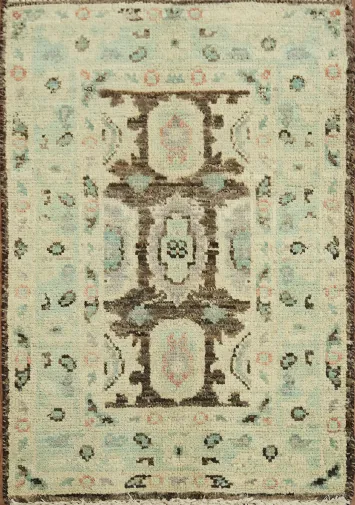 Vegetable Dye Brown Oushak Turkish Accent Rug 2x3