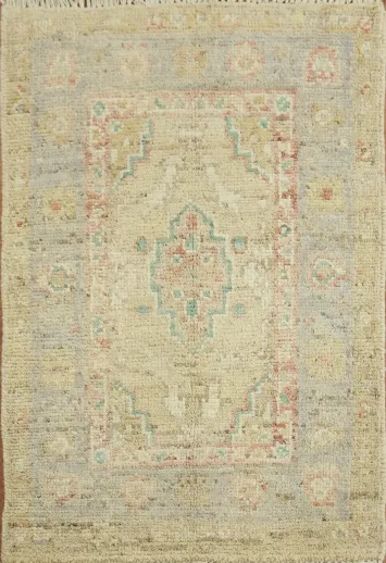 Vegetable Dye Oushak Turkish Accent Rug 2x3