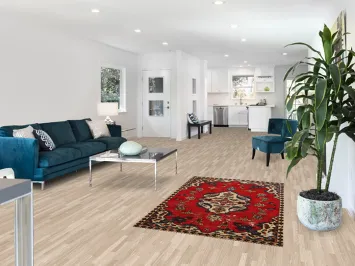 Red Wool Tabriz Persian Rug 4x6