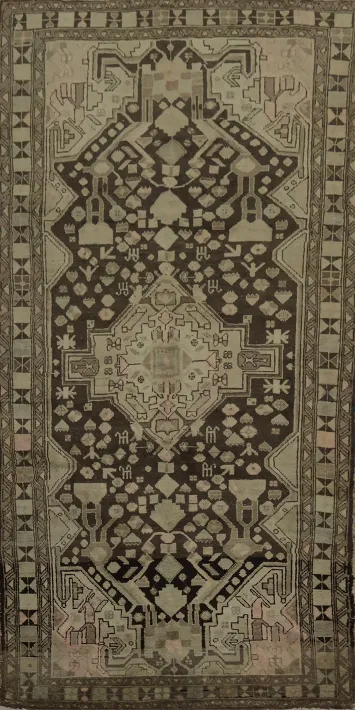 Brown Hamedan Persian Area Rug 5x10 with Intricate Detailing