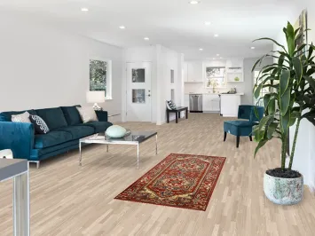 Geometric Wool Heriz Serapi Indian Rug 3x6