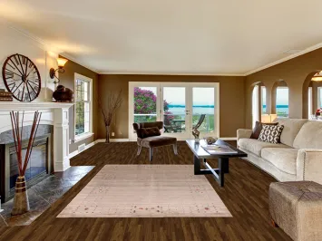 Silk Gabbeh Oriental Area Rug 6x9