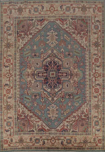 Light Blue Heriz Serapi Indian Area Rug 8x10