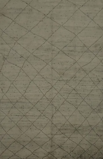 Trellis Moroccan Indian Area Rug 9x12