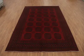 Elephant Foot Red Balouch Afghan Area Rug 8x11