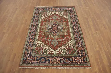 Geometric Heriz Serapi Oriental Rug 4x6