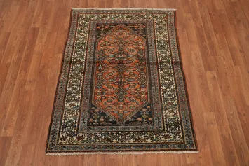 Vegetable Dye Malayer Persian Rug 3x4