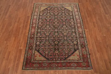 Pre-1900 Antique Malayer Vegetable Dye Persian Rug 4x6