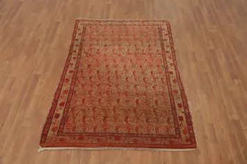 Pre-1900 Antique Sarouk Farahan Vegetable Dye Persian Rug 4x6