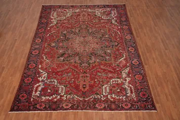 Vegetable Dye Vintage Heriz Persian Area Rug 10x13
