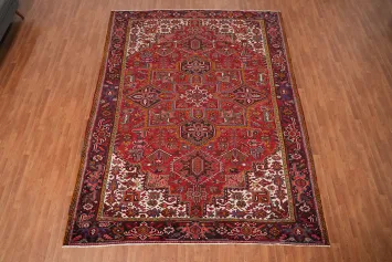 Red Vegetable Dye Heriz Persian Area Rug 9x12