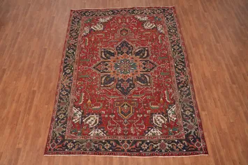 Vegetable Dye Red Heriz Persian Area Rug 8x11