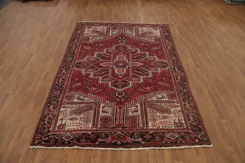 Vegetable Dye Red Heriz Persian Area Rug 7x10
