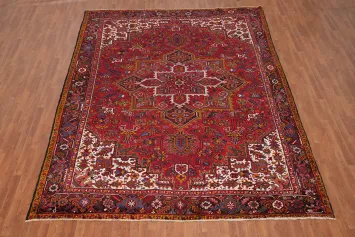 Vegetable Dye Wool Heriz Persian Area Rug 10x13