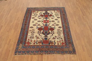 Antique Vegetable Dye  Sirjan Persian Rug 5x7
