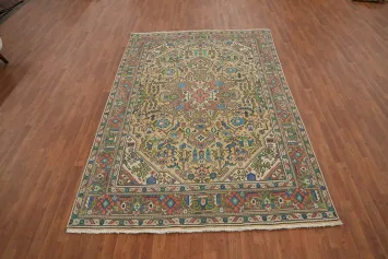 Vintage Wool Tabriz Persian Area Rug 6x10