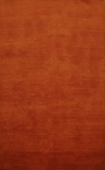 Vibrant Rustic Gabbeh Area Rug 6x9 Ideal for Modern Home Decor