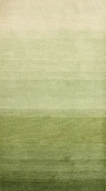 Elegant Green Gradient Gabbeh Rug 2x4 for Modern Home Decor