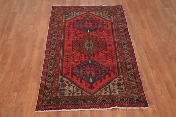 Handmade Wool Hamedan Persian Rug 3x5
