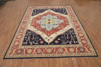 Vegetable Dye Heriz Oriental Area Rug 9x12