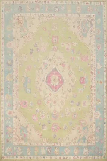 Light Green Heriz Serapi Vegetable Dye Area Rug 8x10