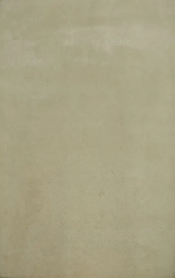 Luxurious Beige Oriental Area Rugs to Enhance Your Living Space